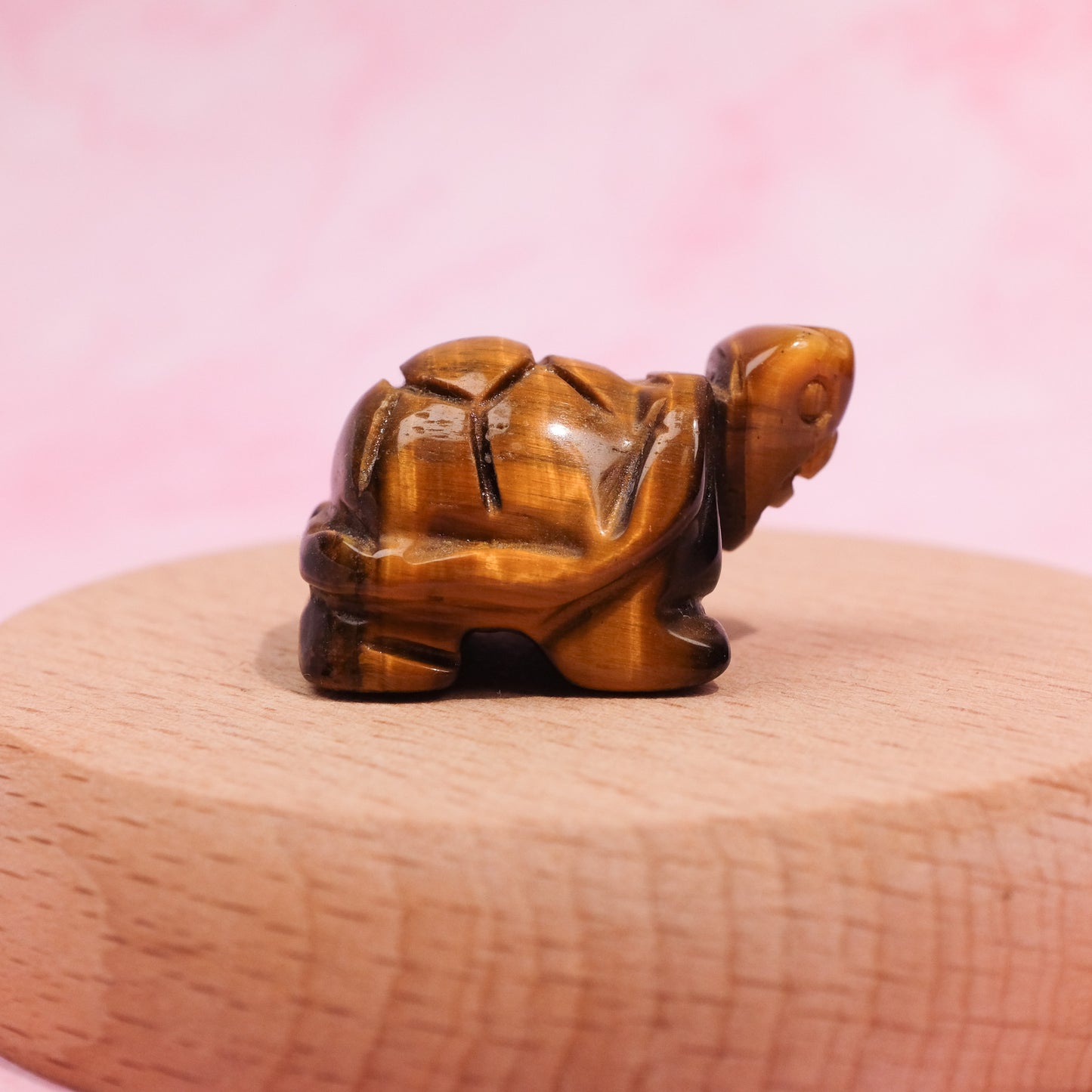 Tiger's Eye Tortoise