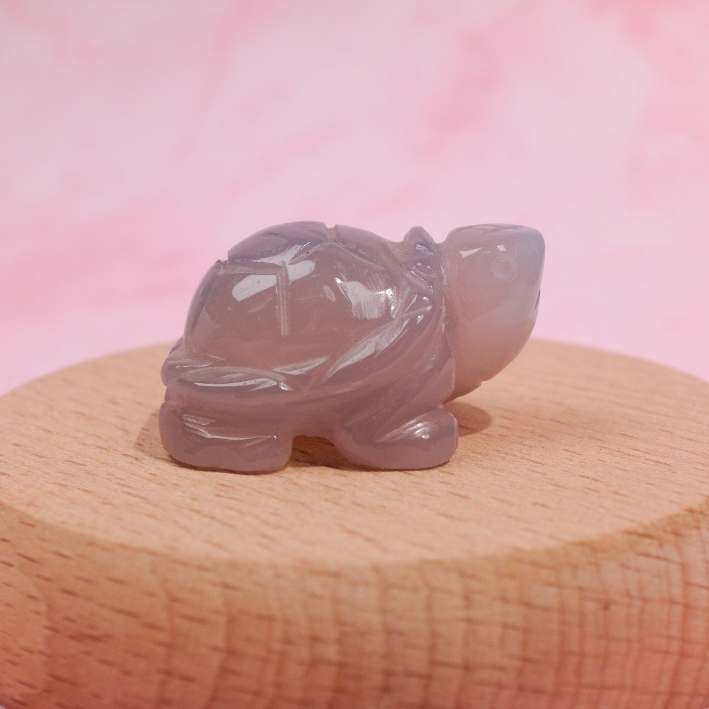 Agate Tortoise