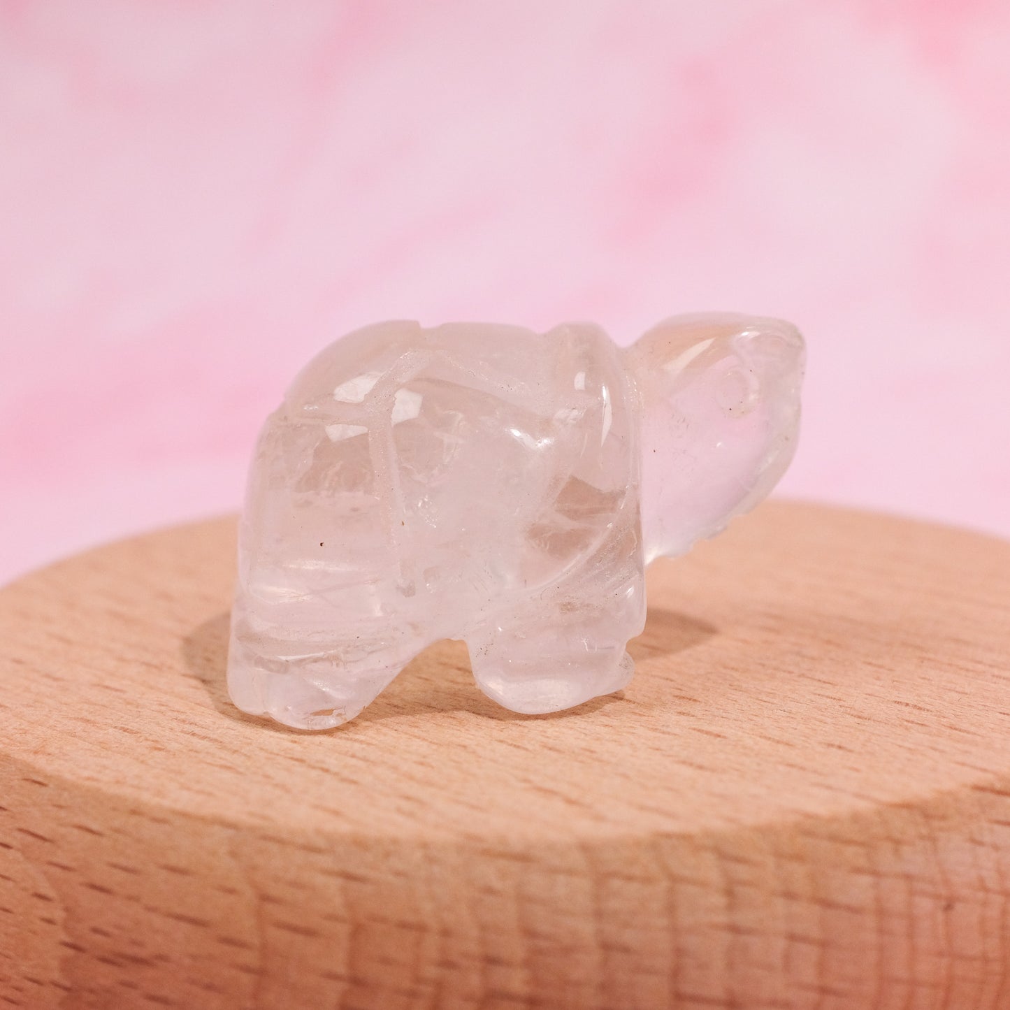 Clear Quartz Tortoise