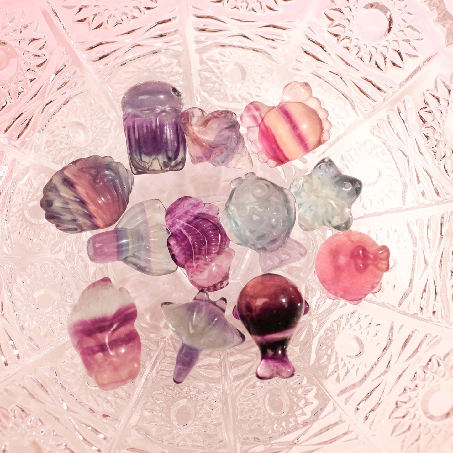 Mystery Mini Fluorite Sea Animals
