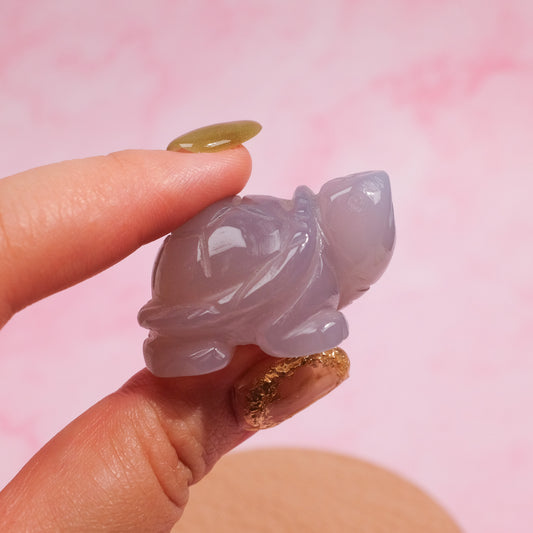 Agate Tortoise