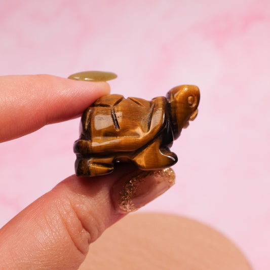 Tiger's Eye Tortoise