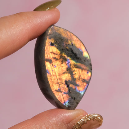 Labradorite Cabochon D