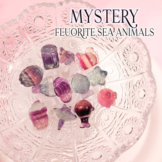 Mystery Mini Fluorite Sea Animals